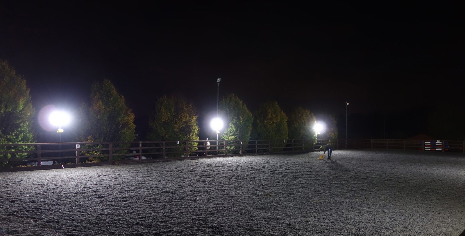 Eco-Flood Sport for Equine